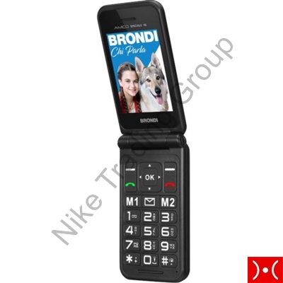 Brondi Easy Phone Amico Speciale 4G