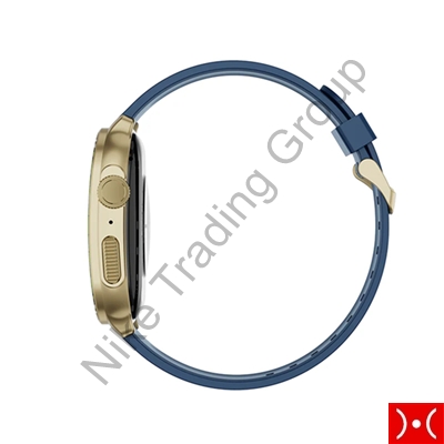 Imiki Smartwatch Frame 2 Gold Blue