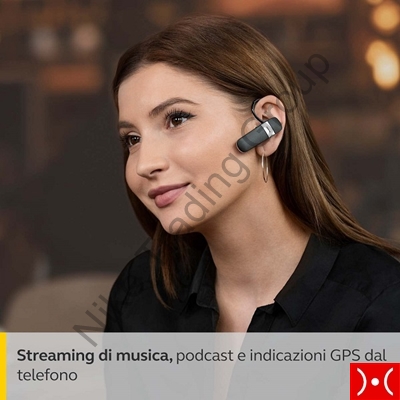 JABRA Talk 15 SE Bluetooth Headset -  black