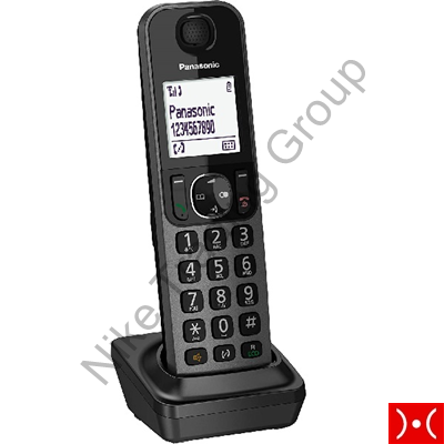 Panasonic portatile aggiuntivo per TGF310EXM