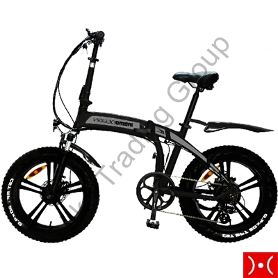 NikeTrading | E-Bike Momo Tokio Silver MD-E20FF3-S | MMMOMMOBI00520