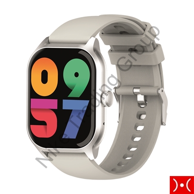 The Artists Smartwatch Voice Light Silver