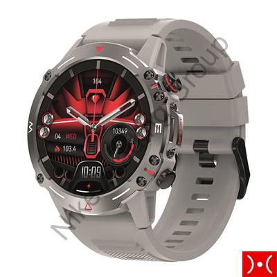 The Artists Smartwatch Amoled Action Voice Silver